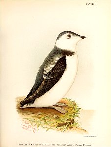 n158_w1150
