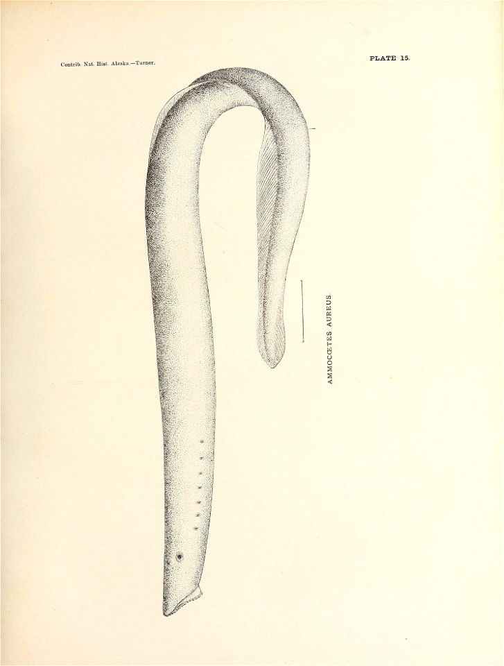 n146_w1150