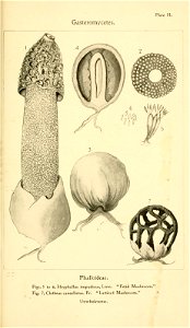 n134_w1150
