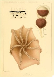 n278_w1150
