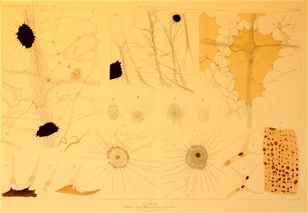 n262_w1150