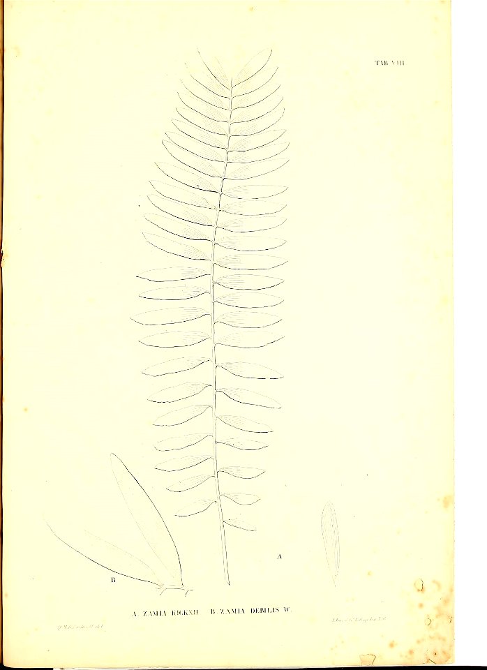 n108_w1150