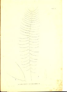 n108_w1150