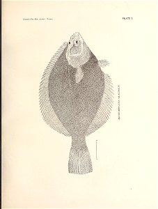 n94_w1150
