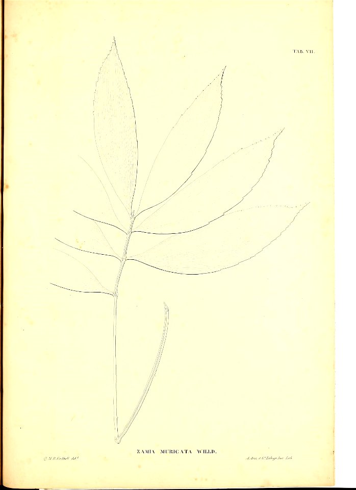 n106_w1150
