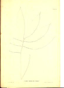 n106_w1150