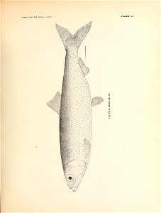 n142_w1150
