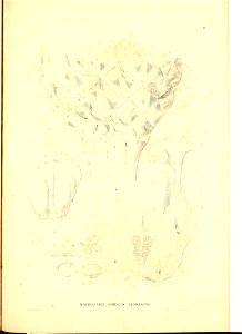 n102_w1150