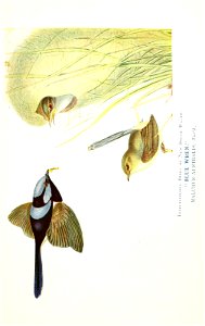 n54_w1150