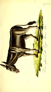 n178_w1150