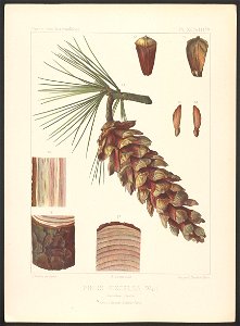n168_w1150
