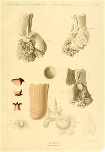 n178_w1150