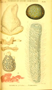 n258_w1150