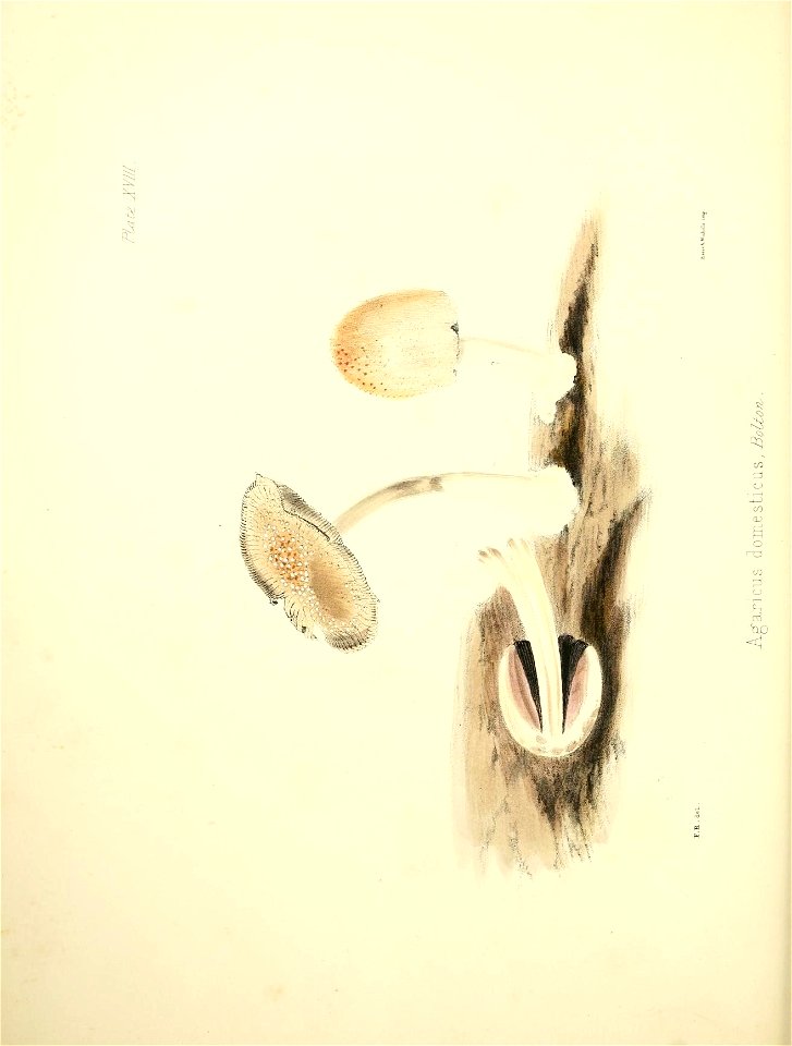 n81_w1150