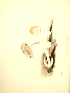 n81_w1150