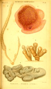 n256_w1150