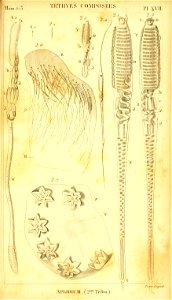 n284_w1150