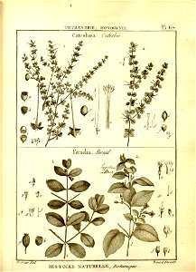 n69_w1150