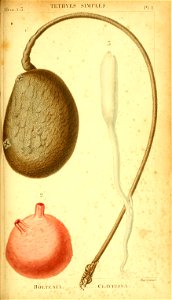 n252_w1150