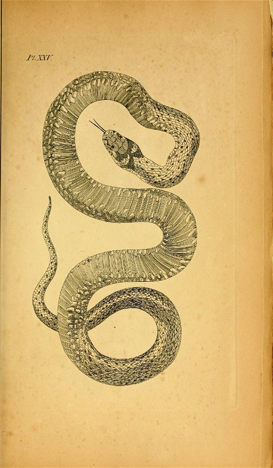 n56_w1150