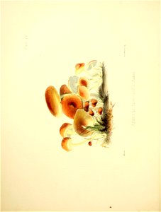 n69_w1150