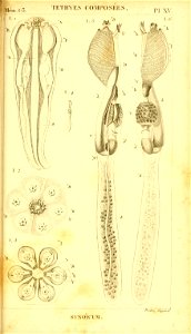n280_w1150