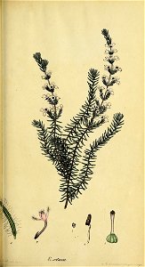 n156_w1150