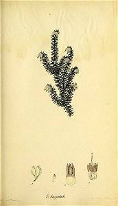 n88_w1150