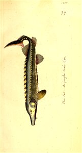n362_w1150