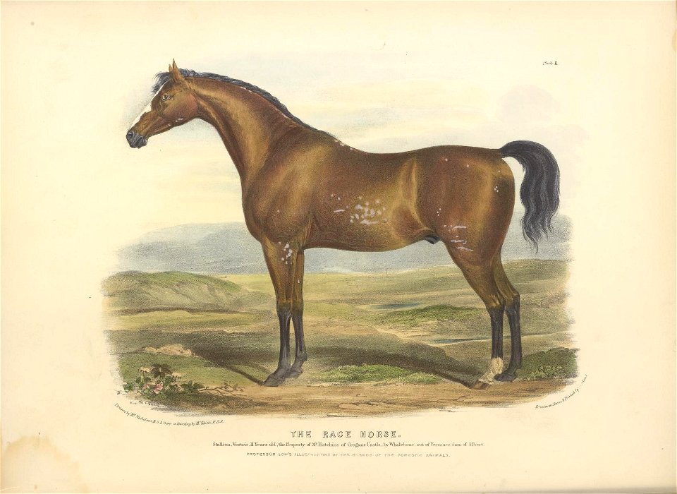 n45_w1150