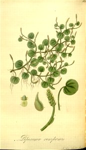 n56_w1150