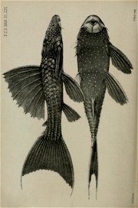 n291_w1150