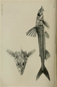 n289_w1150