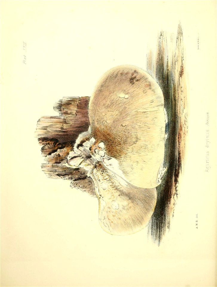 n125_w1150