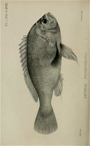 n281_w1150