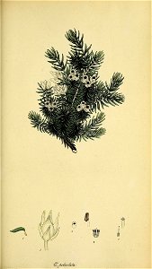 n152_w1150