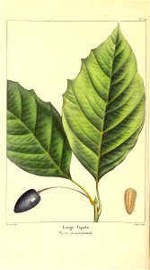 n59_w1150