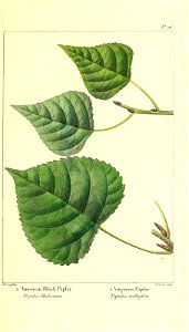 n216_w1150