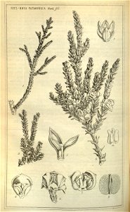 n173_w1150