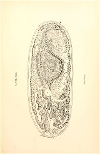 n368_w1150