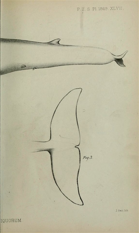 n722_w1150