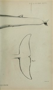 n722_w1150