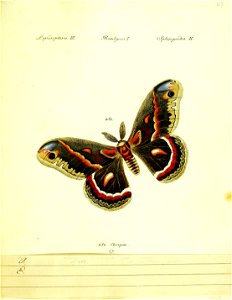 n216_w1150
