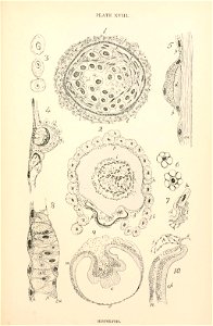 n352_w1150