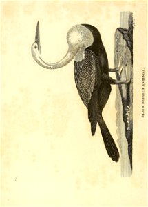 n97_w1150