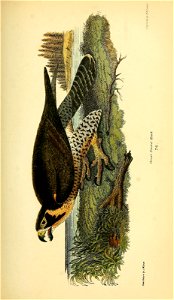 n176_w1150