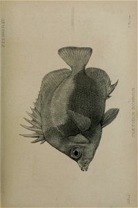 n292_w1150