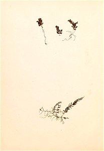 n137_w1150