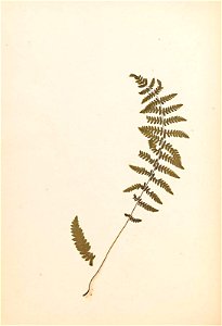 n57_w1150