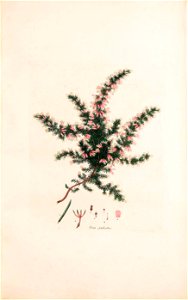 n178_w1150